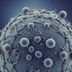 Viruela del mono: qué son los clados y cómo afectan la transmisión