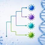 Clados en virología: qué son y por qué son importantes